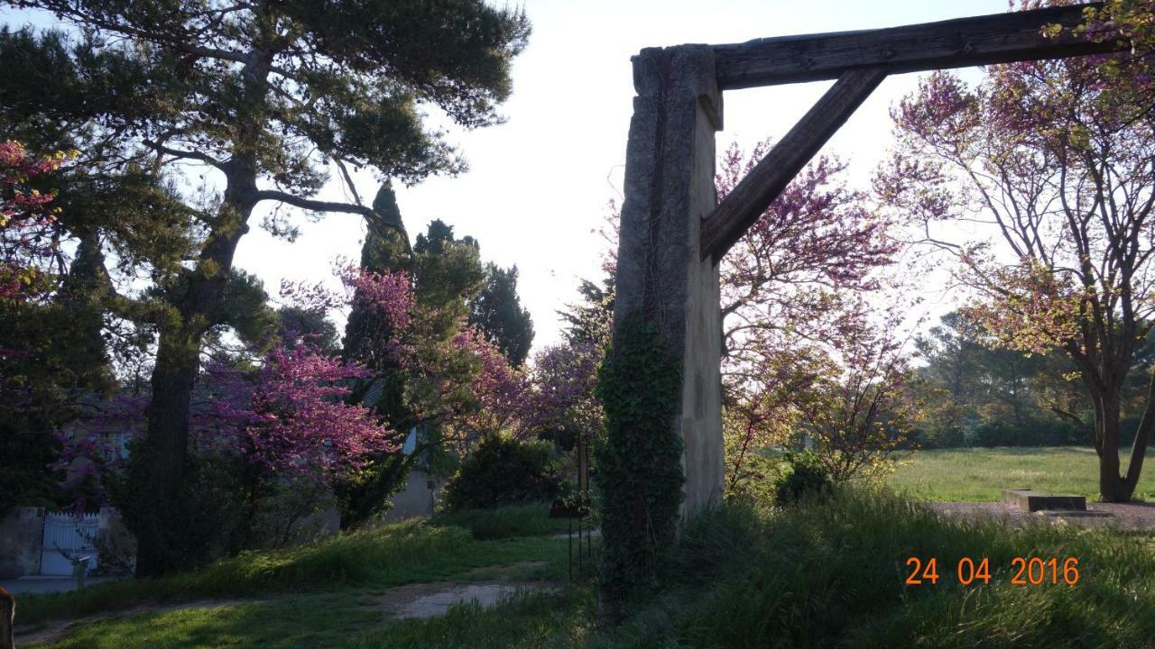 Les Lavandins-Gite Frederic Saint-Rémy-de-Provence Dış mekan fotoğraf